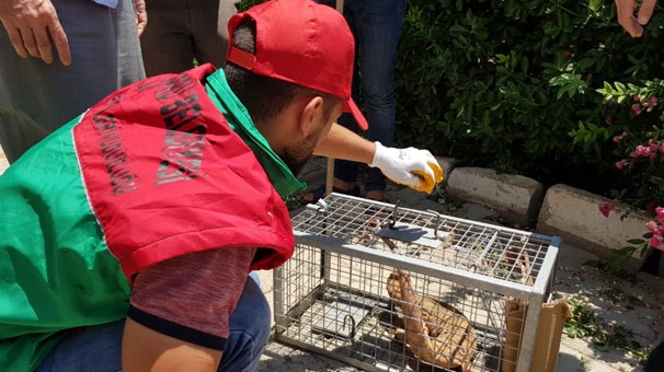 Bahçesinden canavar çıktı! 3