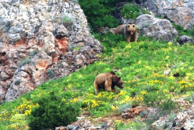 Karadeniz Dağları'ndan kareler 10