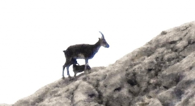 Karadeniz Dağları'ndan kareler 2