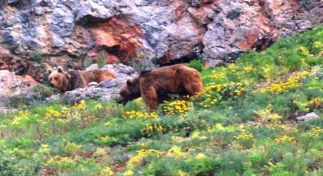 Karadeniz Dağları'ndan kareler 5