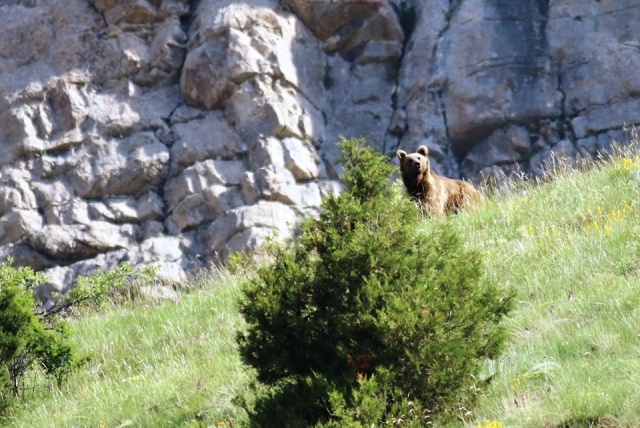 Karadeniz Dağları'ndan kareler 9