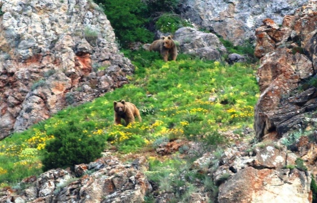 Karadeniz Dağları'ndan kareler 11