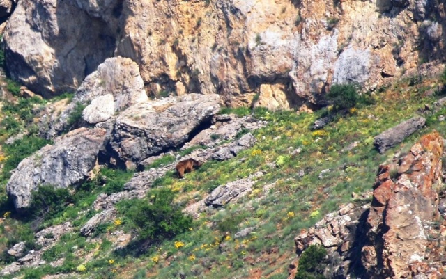 Karadeniz Dağları'ndan kareler 13