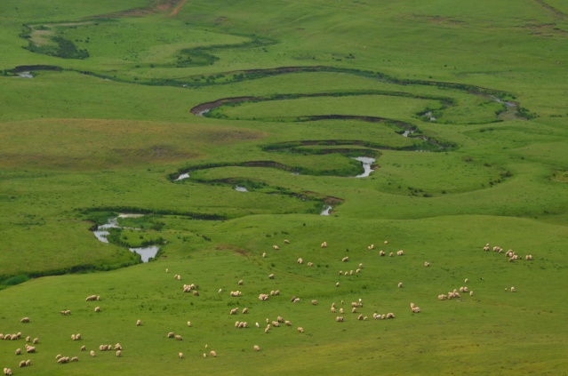 Ordu’nun yaylaları yeşillendi, turistlerin ilgisi arttı 4