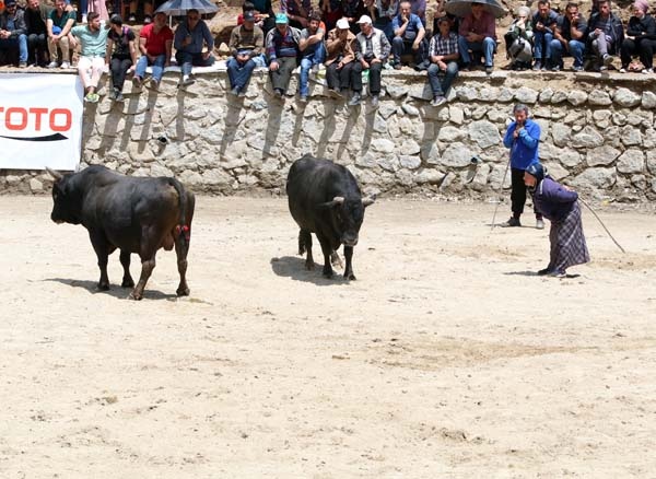 Boğa güreşlerinde onu hakemler bile arenadan uzaklaştıramadı 9