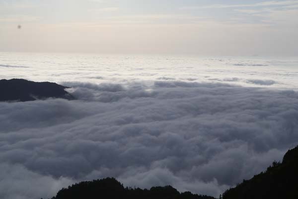 Doğu Karadeniz'in doğa harikası yaylası 18