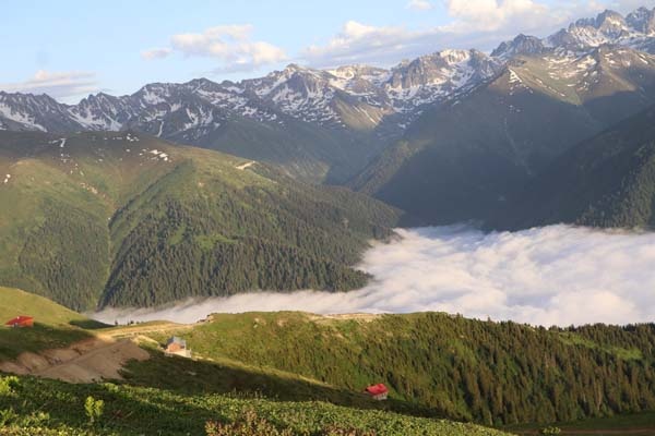 Doğu Karadeniz'in doğa harikası yaylası 15