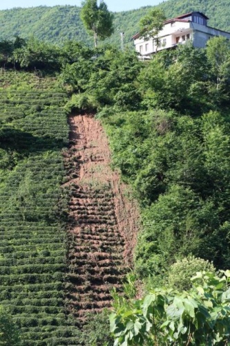 Araklı'da seferberlik var 3