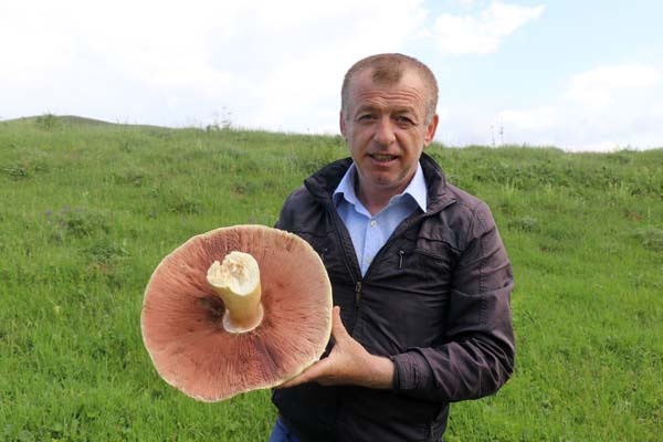 Gümüşhane'de bulundu - 25 yıldır böylesi görülmedi 2