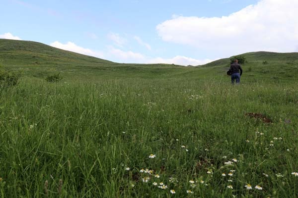 Gümüşhane'de bulundu - 25 yıldır böylesi görülmedi 6