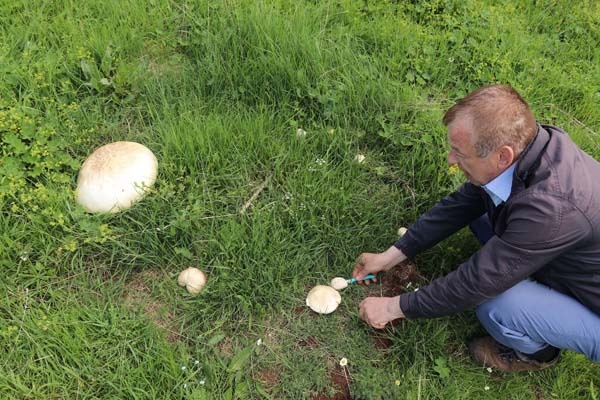 Gümüşhane'de bulundu - 25 yıldır böylesi görülmedi 10