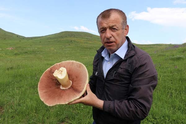 Gümüşhane'de bulundu - 25 yıldır böylesi görülmedi 7