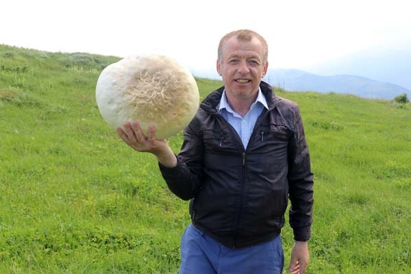 Gümüşhane'de bulundu - 25 yıldır böylesi görülmedi 11