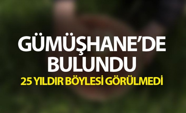 Gümüşhane'de bulundu - 25 yıldır böylesi görülmedi 1