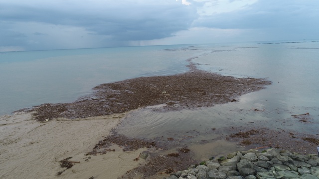 Trabzon’da yağış sonrası deniz bu hale geldi! 19