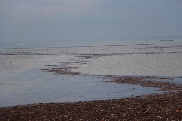 Trabzon’da yağış sonrası deniz bu hale geldi! 14