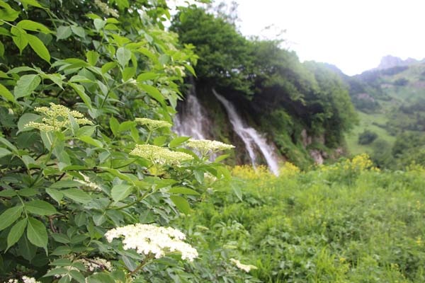 Bu şelaleleri görenler Trabzon’da olduğuna inanamıyor 3