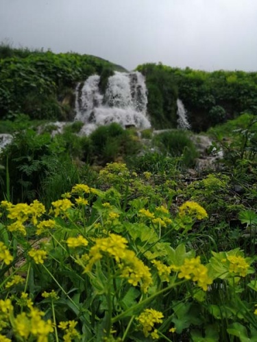 Bu şelaleleri görenler Trabzon’da olduğuna inanamıyor 15