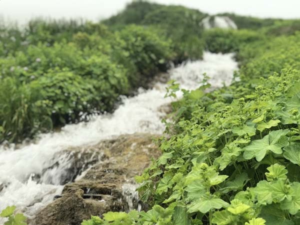 Bu şelaleleri görenler Trabzon’da olduğuna inanamıyor 18