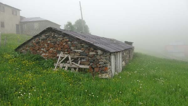 Karadeniz'de yayla göçü geleneği yaşatılıyor 4
