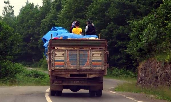 Karadeniz'de yayla göçü geleneği yaşatılıyor 16