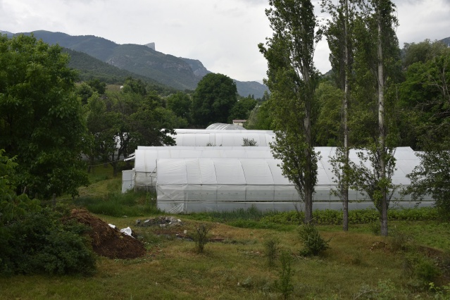 Gümüşhane'de üretip, Trabzon'da satıyorlar 11