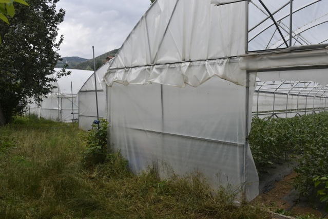 Gümüşhane'de üretip, Trabzon'da satıyorlar 12