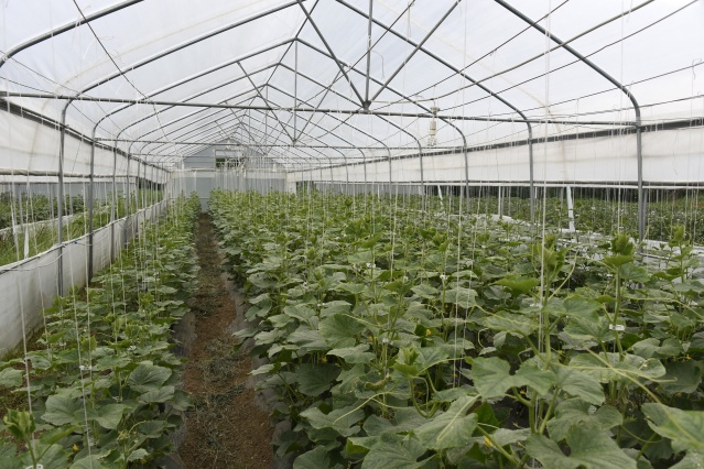 Gümüşhane'de üretip, Trabzon'da satıyorlar 10