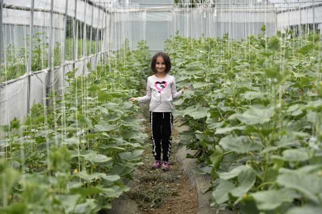 Gümüşhane'de üretip, Trabzon'da satıyorlar 8