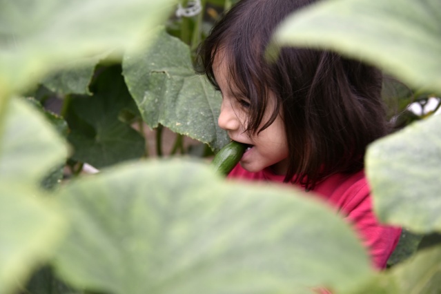 Gümüşhane'de üretip, Trabzon'da satıyorlar 2