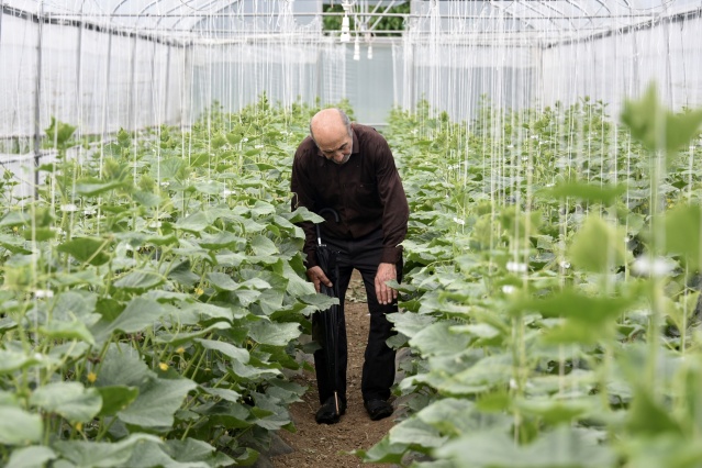 Gümüşhane'de üretip, Trabzon'da satıyorlar 5