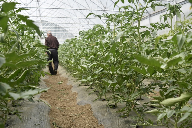 Gümüşhane'de üretip, Trabzon'da satıyorlar 9