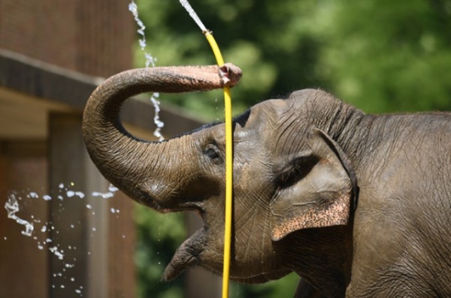 Avrupa alev aldı 22