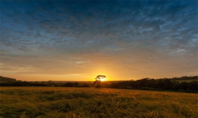 Avrupa alev aldı 41