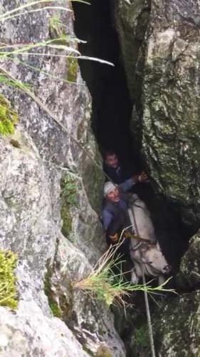 Düştüğü yerden çıkarmak için seferber oldular 7