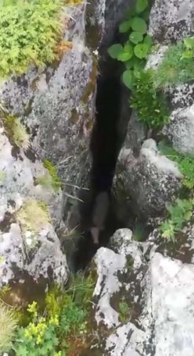 Düştüğü yerden çıkarmak için seferber oldular 2