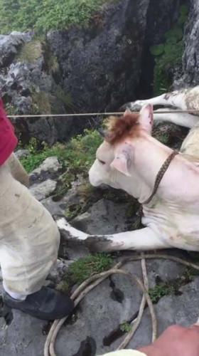 Düştüğü yerden çıkarmak için seferber oldular 6