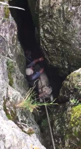 Düştüğü yerden çıkarmak için seferber oldular 3