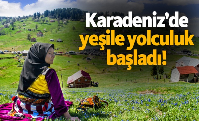Karadeniz'de yeşile yolculuk başladı 1