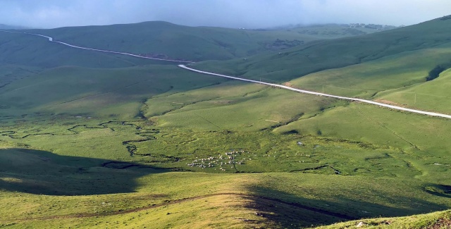 Karadeniz'de yeşile yolculuk başladı 12