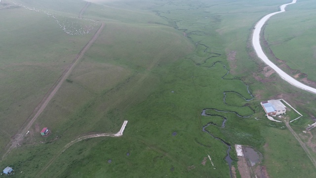 Karadeniz'de yeşile yolculuk başladı 8