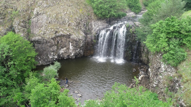 Karadeniz'de yeşile yolculuk başladı 13
