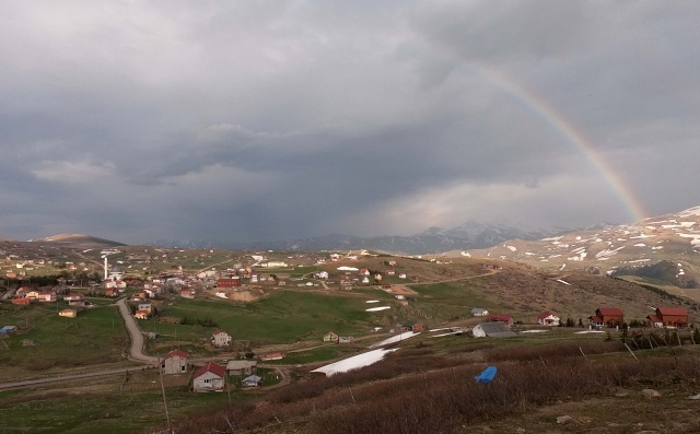 Karadeniz'de yeşile yolculuk başladı 4