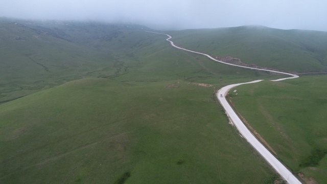 Karadeniz'de yeşile yolculuk başladı 3