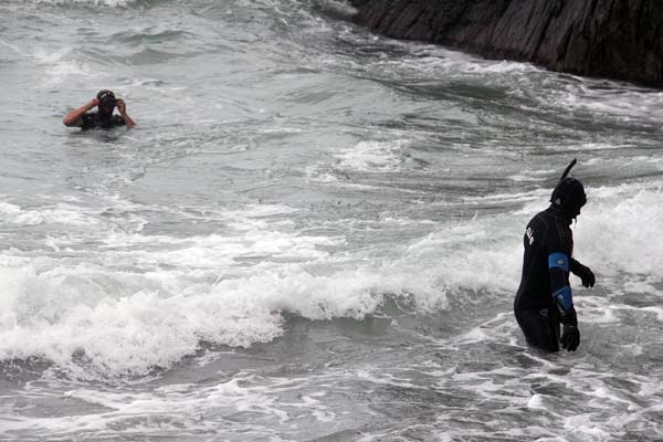 Kayıp öğretmenin köpeği sahilde sahibini bekliyor 3