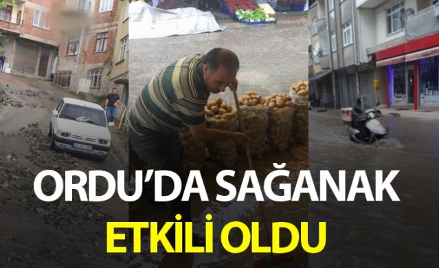 Ordu'da sağanak etkili oldu 1
