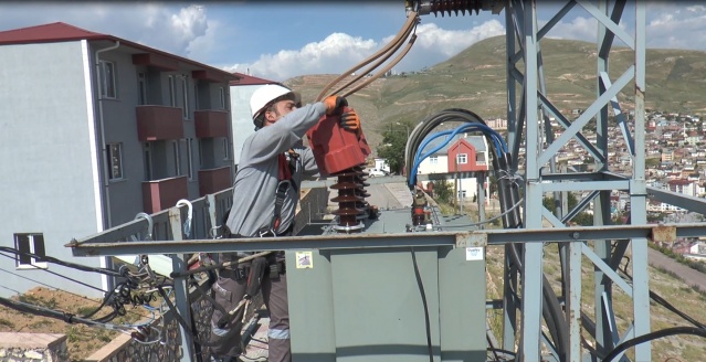 Kuşlar ölmesin diye bakın ne yaptılar? 9