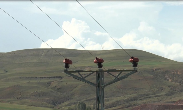 Kuşlar ölmesin diye bakın ne yaptılar? 4