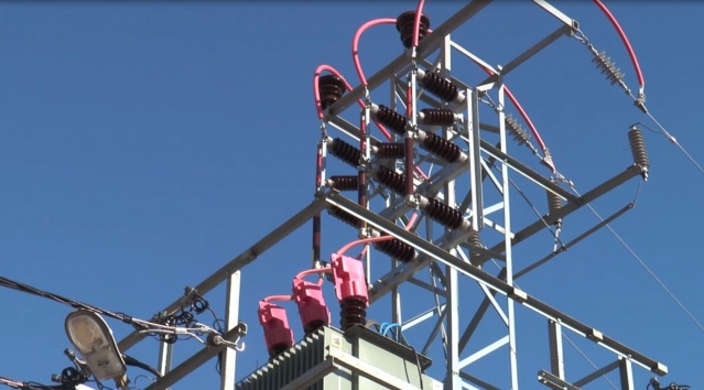 Kuşlar ölmesin diye bakın ne yaptılar? 7