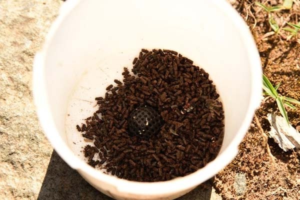 Dumansız yangınla biyoteknik mücadele 4